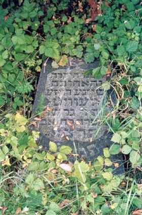 Kretinga - Jewish Cemetery 